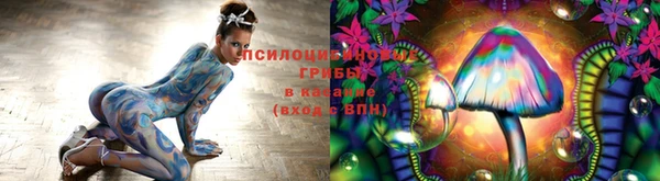 синтетический гашиш Коряжма